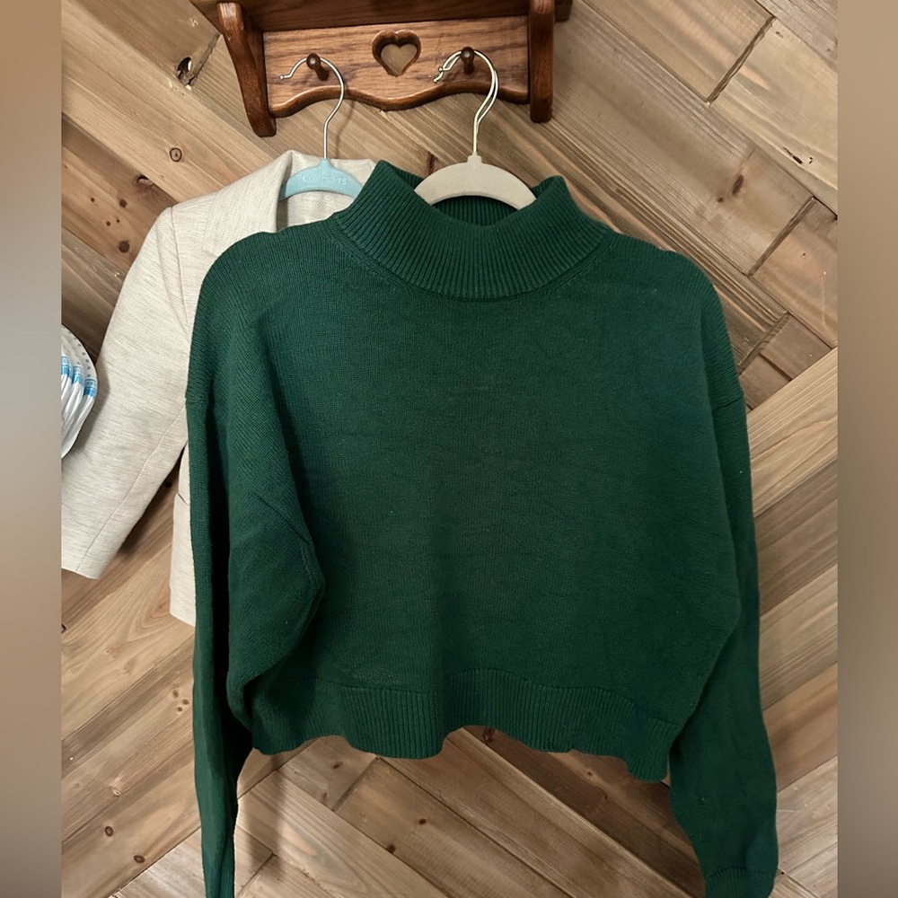 Wilfred Aritzia Emerald Sweater